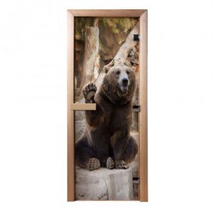 Дверь из стекла с фотопечатью Бурый медведь