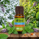 Эфирное масло Банные штучки «Мята», 10 мл, в блистере — изображение 4