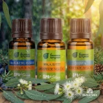 Набор эфирных масел Банные штучки «С легким паром», 3 вида масел по 10 мл — изображение 4