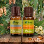 Набор эфирных масел Банные штучки «Эвкалипт и пихта», 2 вида масел по 10 мл — изображение 4