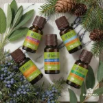 Набор эфирных масел Банные штучки «Легкое дыхание», 5 видов масел по 10 мл — изображение 2