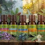 Набор эфирных масел Банные штучки «Легкое дыхание», 5 видов масел по 10 мл — изображение 4