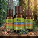 Набор эфирных масел Банные штучки «Билет в баню», 3 вида масел по 15 мл — изображение 4