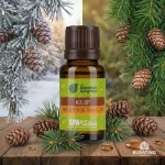 Эфирное масло Банные штучки «Кедр», 10 мл, в блистере — изображение 4