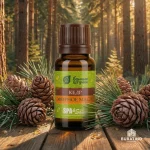 Эфирное масло Банные штучки «Кедр», 10 мл, в блистере — изображение 5