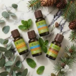 Набор эфирных масел Банные штучки «Дыхание леса», 4 вида масел по 15 мл — изображение 2