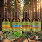 Набор эфирных масел Банные штучки «Дыхание леса», 4 вида масел по 15 мл — изображение 5