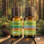 Набор эфирных масел Банные штучки «Ель и пихта», 2 вида масел по 10 мл — изображение 5