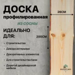 Доска профилированная сосна 20*260*2000 сорт А — изображение 3