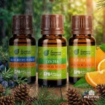 Набор эфирных масел Банные штучки «Банька», 3 вида масел по 10 мл — изображение 4